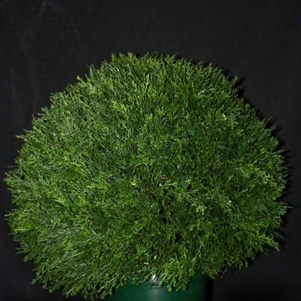 Artificial Cedar Globe 20 Inch