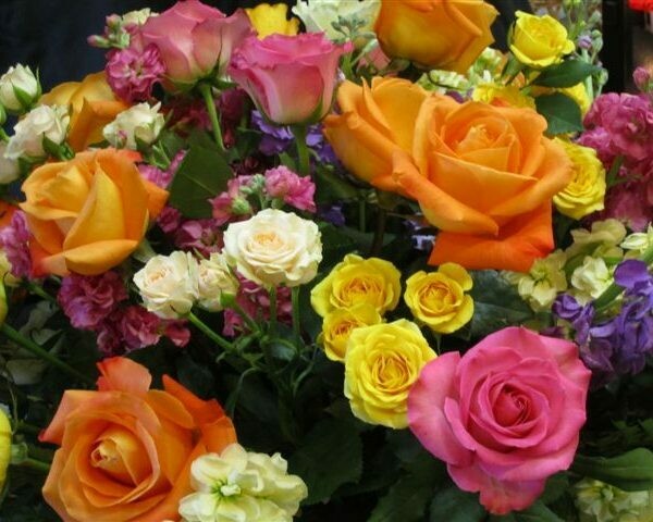 Colourful Casket Spray