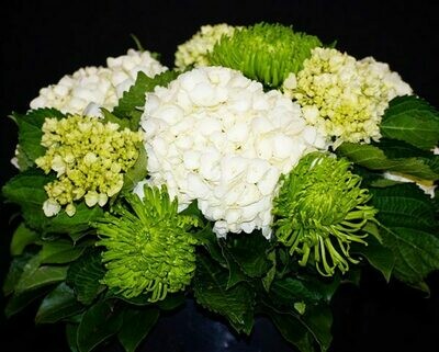 White and Green Arrangement in a Vase
