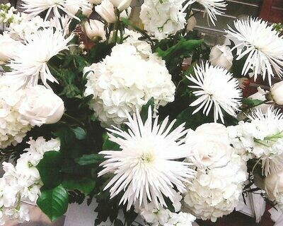 All White Flowers Arranged in a Vase