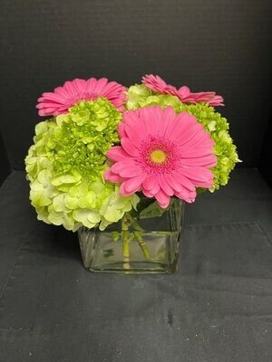 Arrangement in a cube vase with Mojito and green hydrangeas with pink hydrangeas