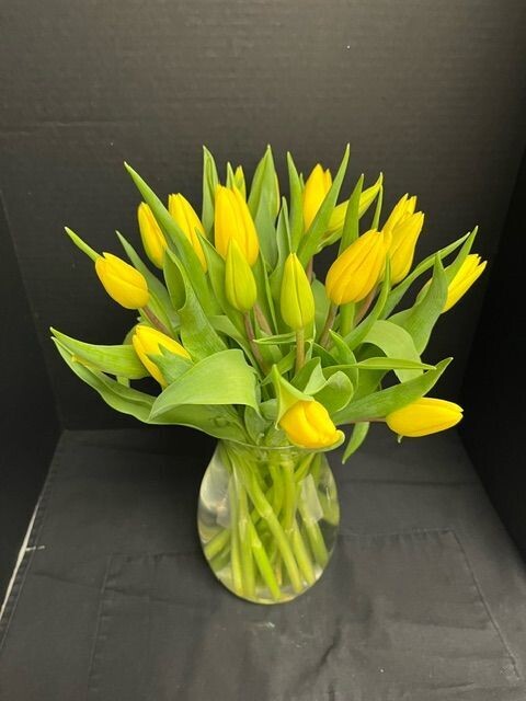 20 Yellow Tulips Arranged in a Vase