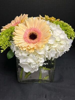 Arrangement in a cube vase with White and green hydrangeas and pale pink  Gerberas