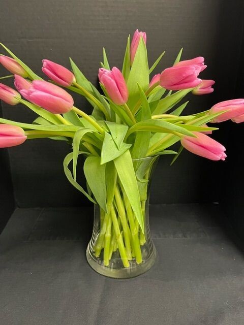 20 Pink Tulips Arranged in a Vase