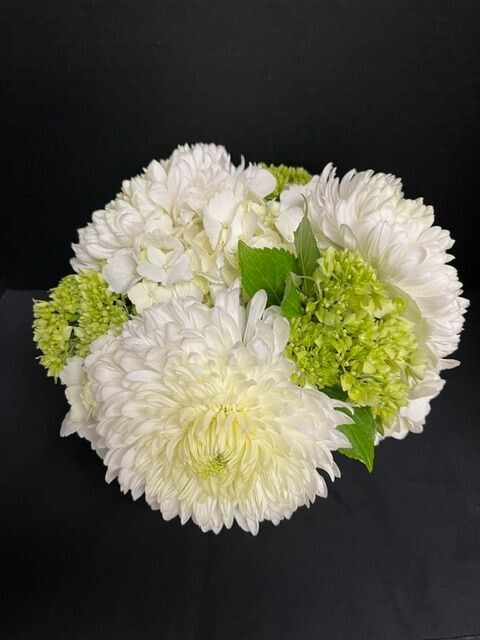 Arrangement in a cube vase with White and green hydrangeas and white magnum Fuji mums