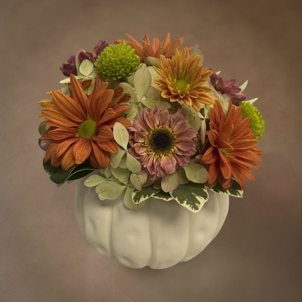 Fall Daisy Arrangement in a Small White Ceramic Pumpkin