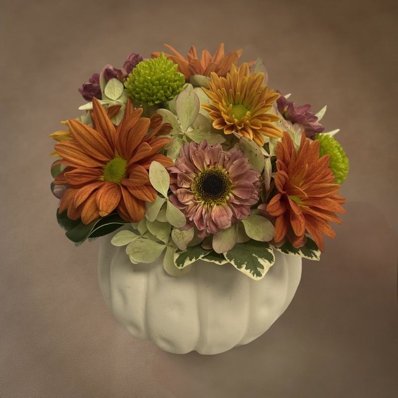 Fall Daisy Arrangement in a Small White Ceramic Pumpkin