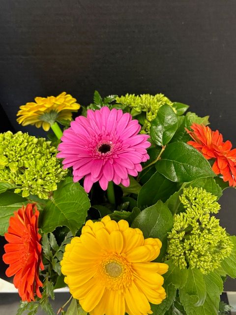 Colourful Gerbera Daisies and Green Hydrangeas  arranged in a vase.