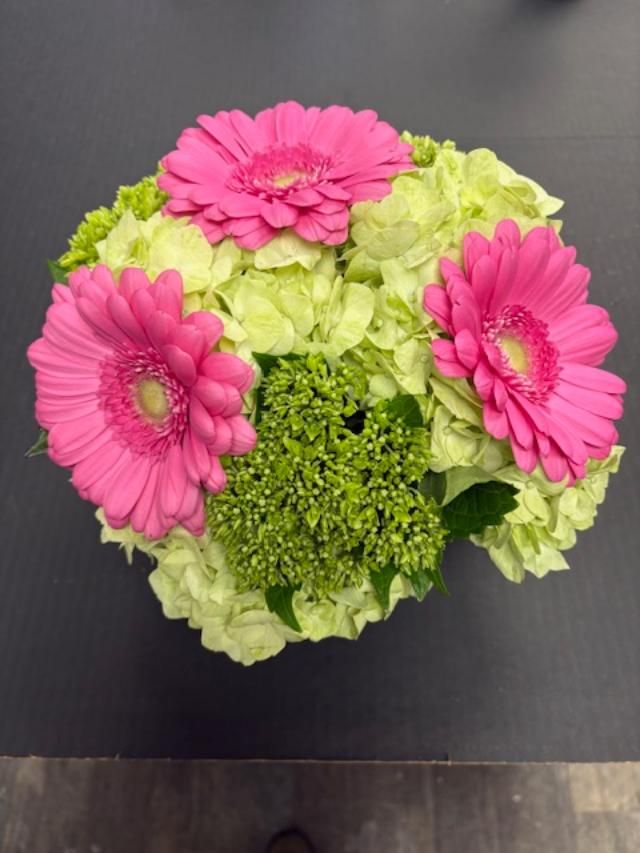 Arrangement in a cube vase with Mojito and Green Hydrangeas with Pink Gerberas