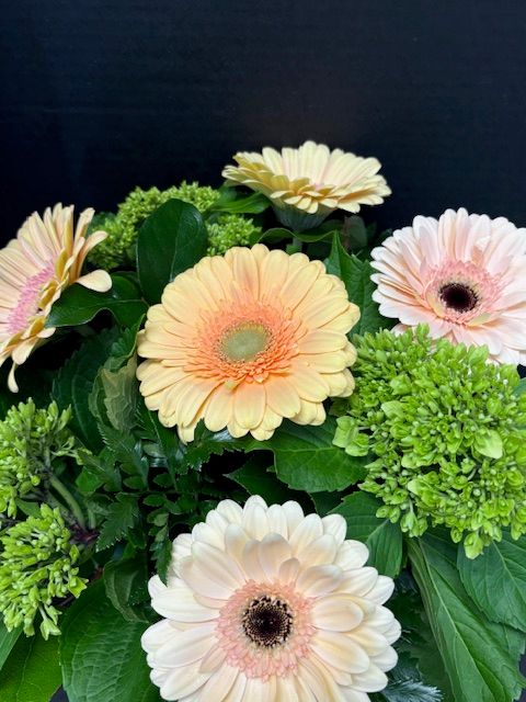 Sherbet coloured Gerberas and Green Hydrangeas  arranged in a vase.