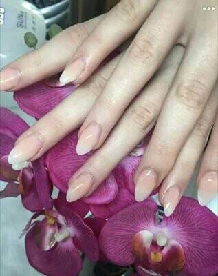 Gel Nail Extensions (1-day course)
