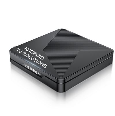 Premium Elite Box and Platform