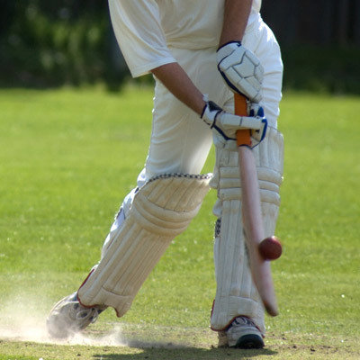 Cricket
