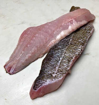 Yellowtail Rockfish - F/V Smeagol (1.0 lbs) Yellowtail Rockfish - F/V Smeagol (1.0 lbs)