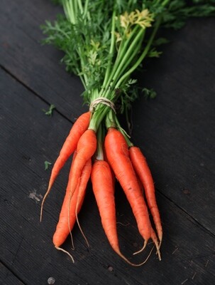 Loose Carrots - Happy Boy Farm (1 lb)
