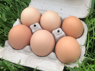 1/2 Dozen Duck Eggs - Corvus Farm 1/2 Dozen Duck Eggs - Corvus Farm