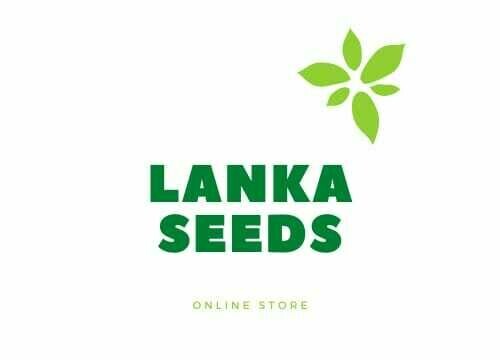 lankaseeds.net