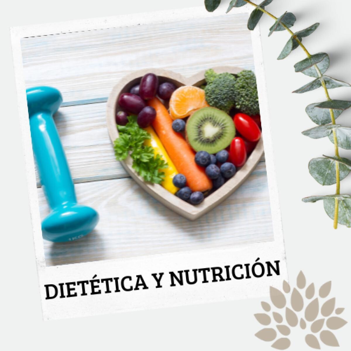 Dietética y nutrición