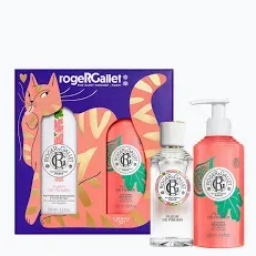 PACK ROGER GALLET LEUR DE FIGUIER 100 ML DIFUSOR DE FRAGANCIA