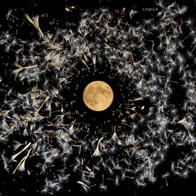 all of this is chance - Vinyl