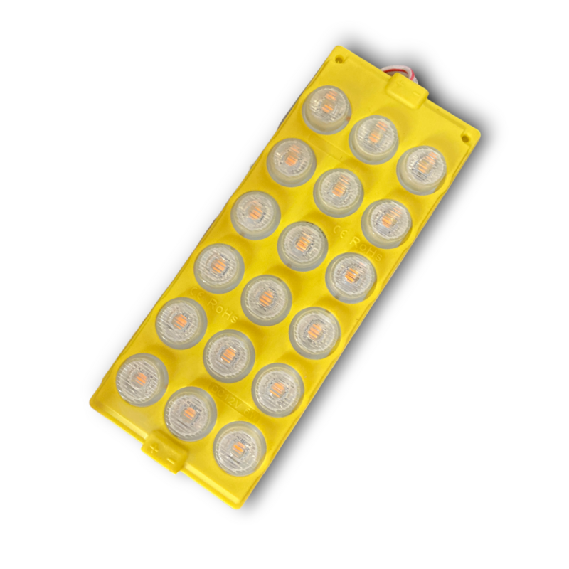MODULO 37 RENOVATIO PAR