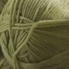 220 Merino Superwash - Leek Green