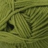 220 Merino Superwash - Peridot