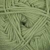 220 Merino Superwash - Celery Heather