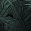 220 Merino Superwash - Antique Green