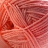 220 Merino Superwash - Camelia