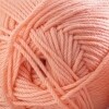 220 Merino Superwash - Desert Flower