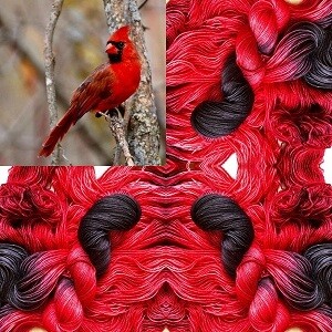 Songbird - Northern Cardinal