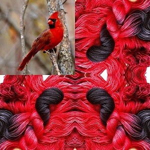 Songbird - Northern Cardinal