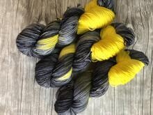 Songbird - Kirtland&#39; Warbler