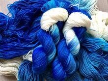 Songbird - American Blue Jay