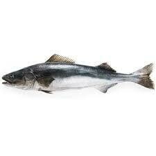 Black Cod Fillet -1#
