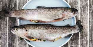 Whole Rainbow Trout stuffed with Love -1e