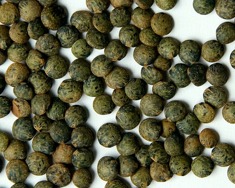 French Green Lentils, Zursun-1#