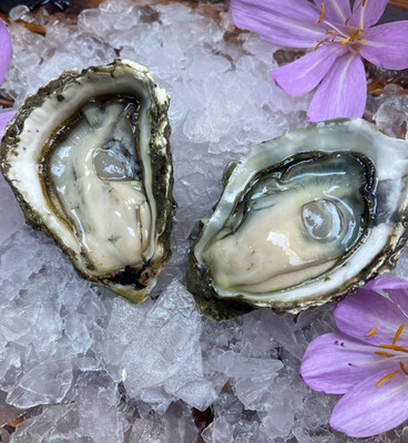 Kumamoto Oysters-1/2 dozen