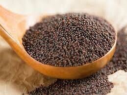 Brown Mustard Seed