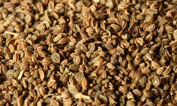 Redhuni Seed-1oz
