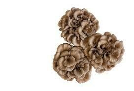 Maitake Mushroom, 3.5oz
