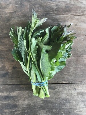 Purple Kale, OG-1 bunch