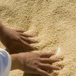 Hand Rolled Couscous, Les Moulins Mahjoub-500g
