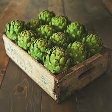 Artichoke (large), CA-1e