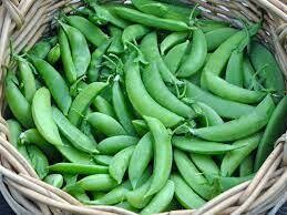 Sugar Snap Peas, Chris Teal&#39;s Farm-1#