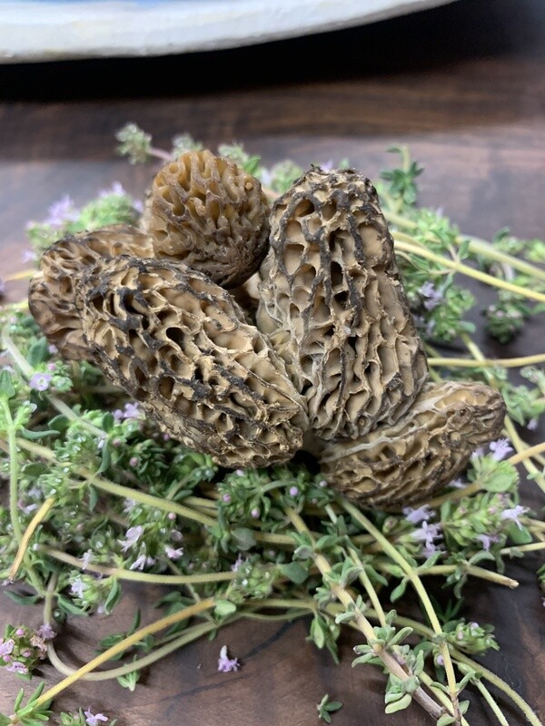 Morel Mushrooms, PNW-6oz