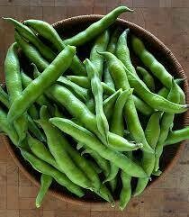 Fava Beans, WTF-2#