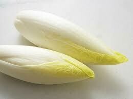 Belgian Endive, CA-1#