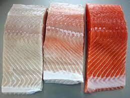 King Salmon, Columbia River, WA-1#